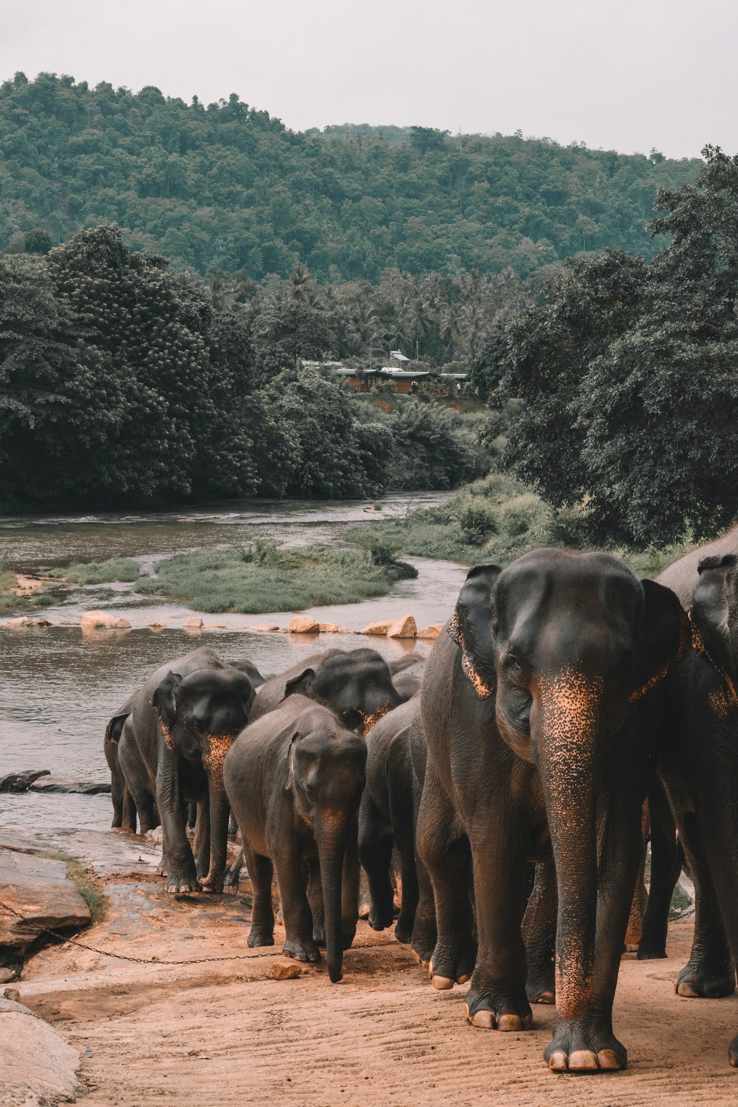 Sustainable Ways To Explore The Cultural Golden Triangle